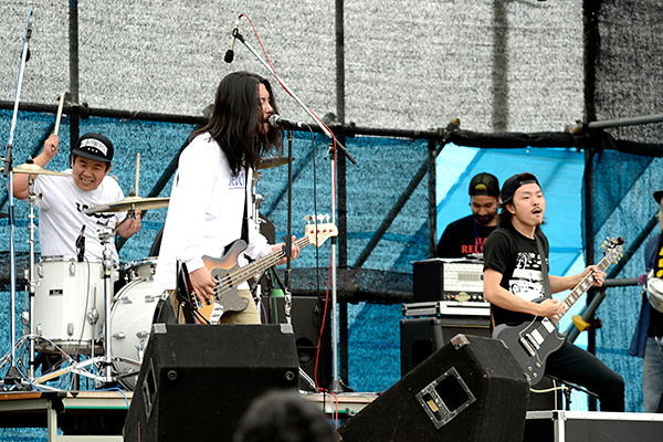 waterweed - 3